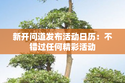 新开问道发布活动日历：不错过任何精彩活动